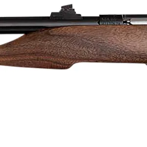 Chipmunk 40001 Hunter  Youth Frame 22 S/L/LR Single Shot 9" Threaded Blued Steel Barrel, Walnut Frame, EZ Loader