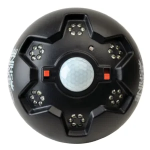 American Hunter AHHOGLITE Swine Shine Hog Light Black ABS Plastic Green Filter