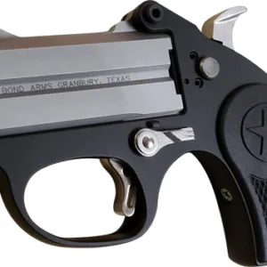 BOND ARMS STINGER 380ACP - 3" BBL STAINLESS NYLON