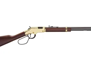 HENRY GLDN BOY LVR 22LR 20" LRG LOOP