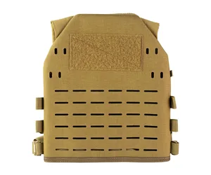 HSGI CORE PLATE CARRIER LG COY
