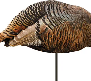 MONTANA DECOY TURKEY HEN - DINNER BELLE