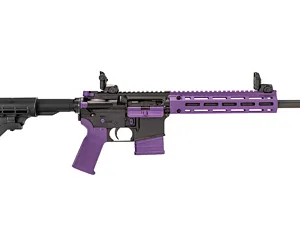 TIPPMANN M4-22 ACCENT 22LR 10RD PRP