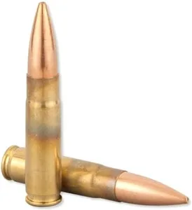 a300aac3n_shells.jpg