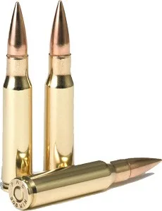 a308b_shells_1.jpg